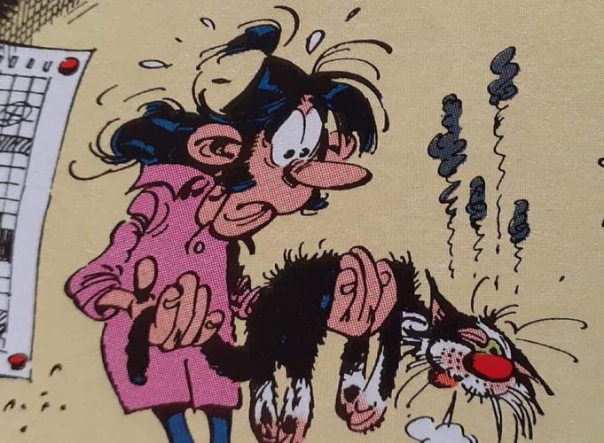 Décolonisations françaises. La chute d’un empire Décolonisations françaises.  aaa